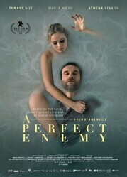 Идеальный враг / A Perfect Enemy
