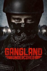 Под прикрытием  / Gangland Undercover